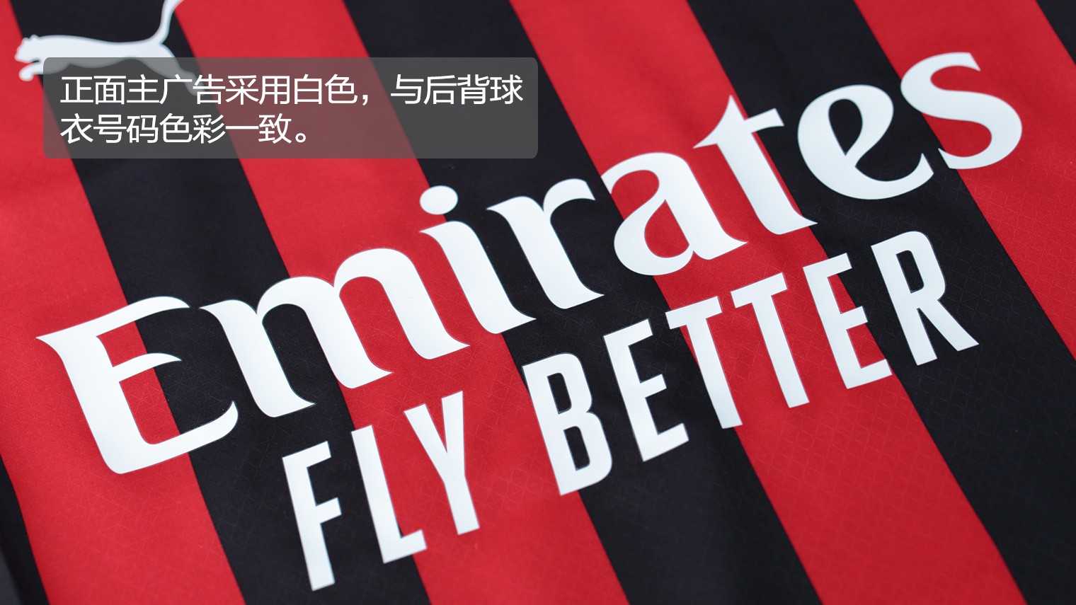 刘亦菲还有什么短板啊！美成这样就算了还这么多技能